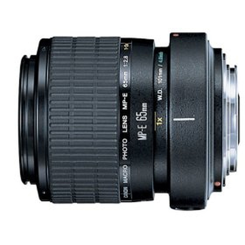 Canon MP-E 65mm f/2.8 1-5x Macro