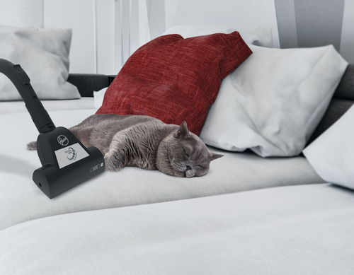 Hoover HP320PET 001 – image 8