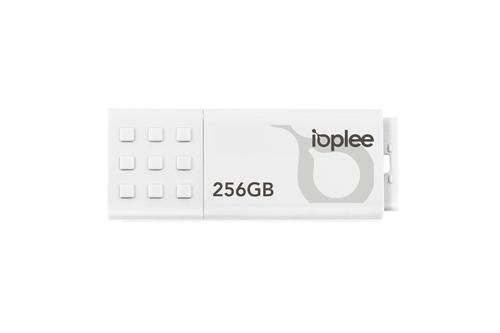 IOPLEE U3A256 USB flash drive – image 1