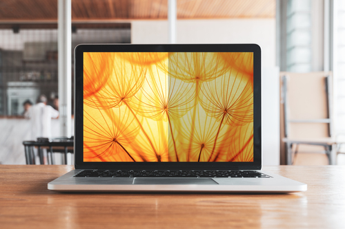 3M Bright Screen Privacy Filter for 14 Inch Laptop 16:10 BP140W1B - image 5