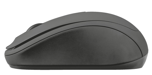 Trust 21509 mouse Office Ambidextrous RF Wireless Optical 1000 DPI – image 3