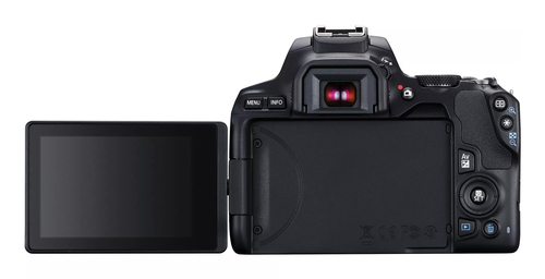 Canon 250D + 18-55mm IS STM – image 7