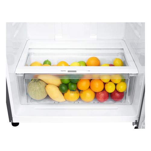 LG GTB744DSCV fridge-freezer Freestanding – image 9