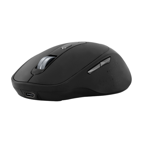 Mouse VORAGO MO-450