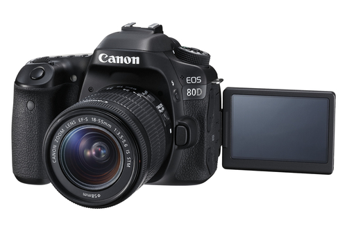 Canon 80D + EF-S 18-55mm f/3.5-5.6 IS STM – image 9
