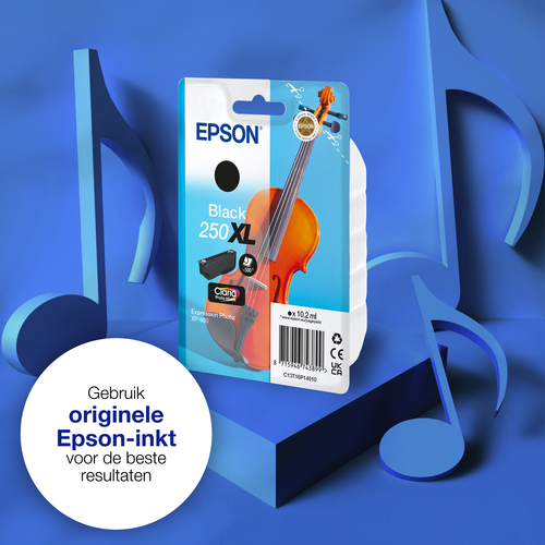 Epson 250XL Cartridge Zwart, afbeelding 5