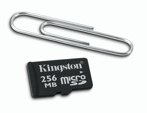 Kingston Technology 256MB microSD Card
