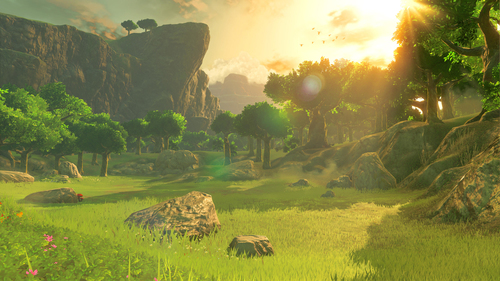 The Legend of Zelda Breath of the Wild - Nintendo Wii U - Action - PEGI 12 – Foto 9 von 10