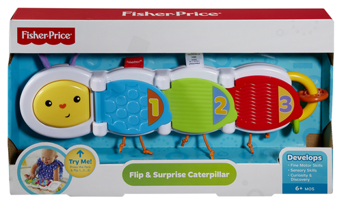 Fisher-Price Everything Baby DHW14 õppemänguasi