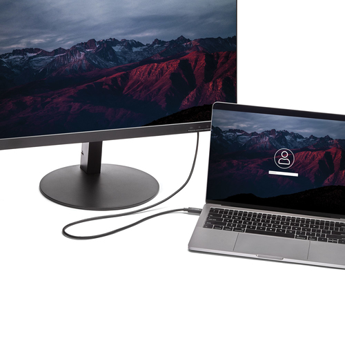 StarTech.com USB-C naar DVI adapterkabel - USB Type-C naar DVI kabel, afbeelding 6
