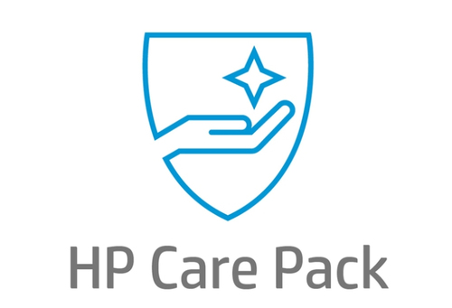 HP 3D Service 2 for Professional consulting hours