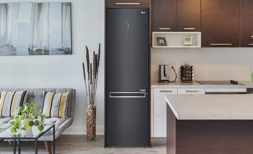 LG Centum™ NatureFRESH™ GBB92MCABP Fridge Freezer – image 4