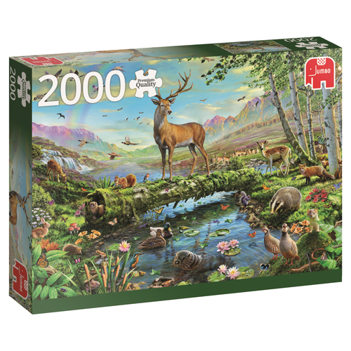 Jumbo 18357