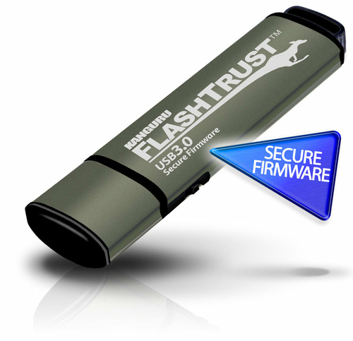 iStorage Kanguru FlashTrust USB флеш накопитель 256 GB USB тип-A 3.2 Gen 1 (3.1 Gen 1) Зеленый