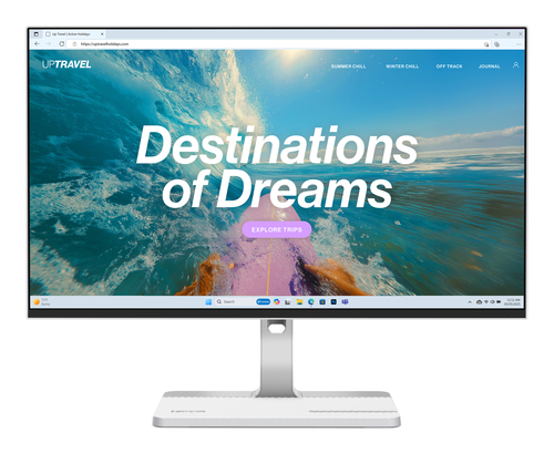 Lenovo L24D-4C computer monitor 60,5 cm (23.8 ) 1920 x 1080 Pixels Full HD LCD Grijs