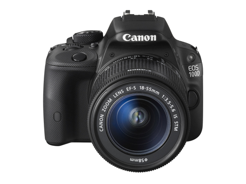 Canon 100D + EF-S 18-55mm f/3.5-5.6 IS STM + EF 75-300mm f/4-5.6 III – image 8
