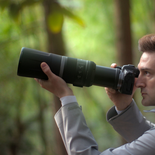 Canon RF 800mm F11 IS STM – image 9
