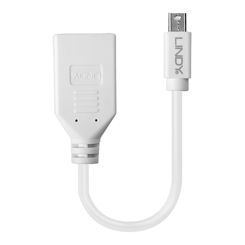 Lindy Mini-DisplayPort an Displayport Adapterkabel M/F 0.15m, afbeelding 2