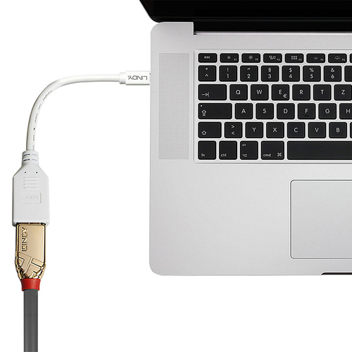 Lindy Mini-DisplayPort an Displayport Adapterkabel M/F 0.15m, afbeelding 3