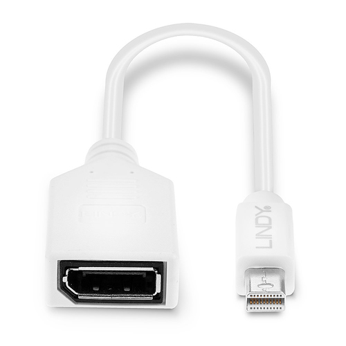 Lindy Mini-DisplayPort an Displayport Adapterkabel M/F 0.15m, afbeelding 4