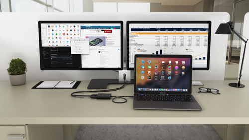 i-tec USB-C > Dual DisplayPort adapter, afbeelding 6
