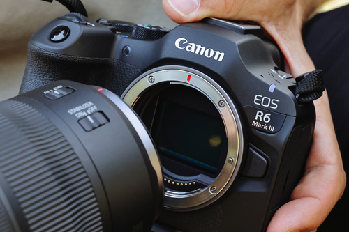 Canon EOS R6 Mark III + RF 24-105mm F4-7.1 IS STM – image 6