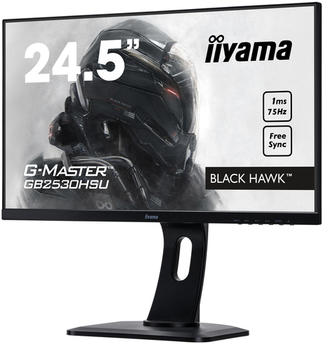 iiyama G-MASTER GB2530HSU-B1 computer monitor – image 2