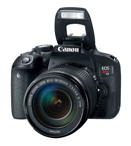Canon EOS Rebel T7i + EF-S 18-55 IS STM