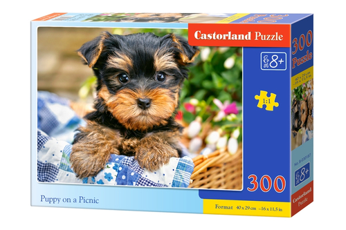 Castorland Puppy on a Picnic 300 pcs Pusle 300 tk Fauna