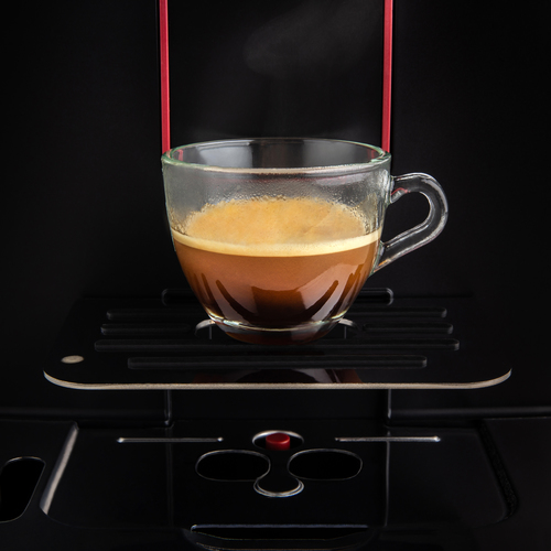 Gaggia RI8700 Fully-auto Espresso machine – image 8