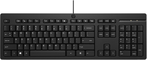 266C9AA HP USB BUSINESS SLIM KEYBOARD  