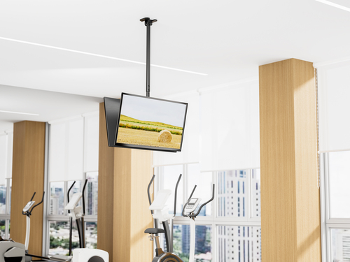 Equip 43"-86" Back to Back Dual Screen Ceiling Mount – image 8