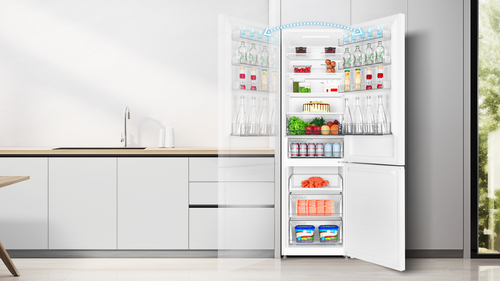 TCL RP456BWE0NE combi-fridge Freestanding – image 3