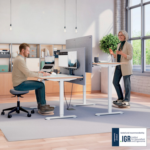 Leitz Ergo Actief 360 Balansbord dg, afbeelding 6