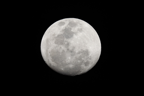 Canon RF 200-800mm f/6.3-9 IS Usm Lens - image 7