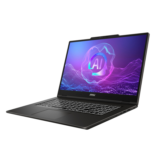 MSI VenturePro 17 A2RWFG-006FR Intel Core 5 210H Нетбук 43,2 cm (17") Full HD 16 GB DDR5-SDRAM 512 GB Твердотельный накопитель (SSD) NVIDIA GeForce RTX 5060 Wi-Fi 6E (802.11ax) Windows 11 Home Серый