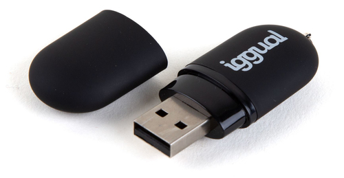 iggual IGG318492 USB flash drive