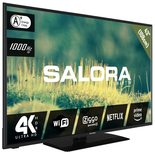 Salora 2204 series 43EUS2204 TV – image 2