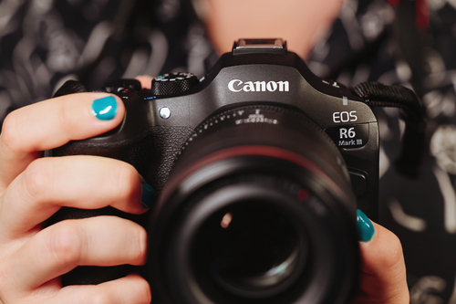 Canon EOS R6 Mark III + RF 24-105mm F4-7.1 IS STM – image 8