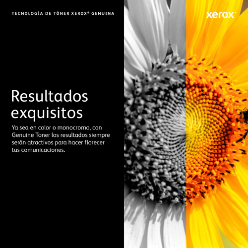Xerox Cartucho de tóner Phaser 5550 imagen 7