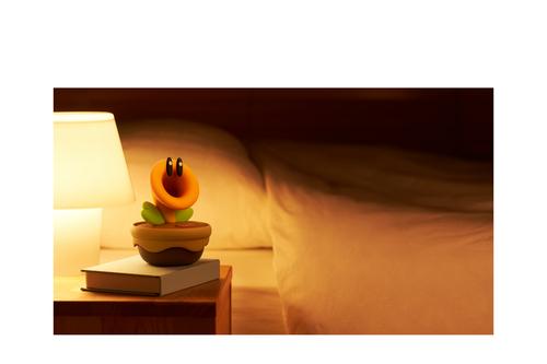 Nintendo Babbelbloem – Foto 8 van 10