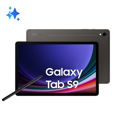 Samsung SM-X710N Galaxy Tab S9 8+128GB WIFI graphite DACH