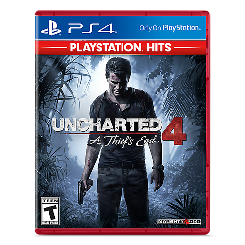 Sony Interactive Entertainment UNCHARTED 4: A Thief's End Стандартная PlayStation 4