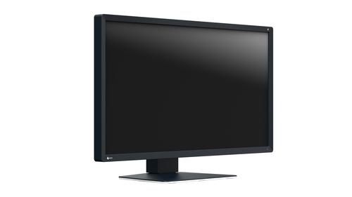 EIZO RadiForce MX317W computer monitor – image 9