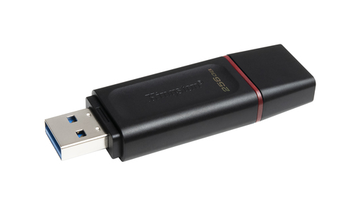 Memoria USB Kingston Technology DTX/256GB