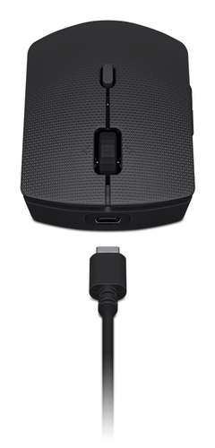 Kits para Teclado y Mouse LENOVO 4X31K03954