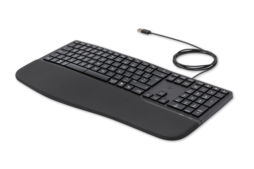 HP 480 Comfort Bedraad Toetsenbord QWERTY, afbeelding 2