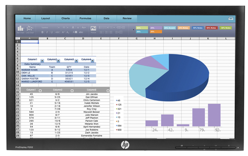 HP ProDisplay P202 20-inch Monitor Head Only (ENERGY STAR)