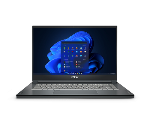 MSI WS66 10TMT-207