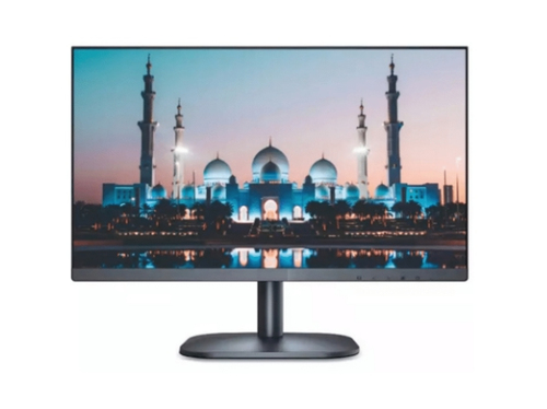 Dahua Technology DHI-LM22-B211 computer monitor